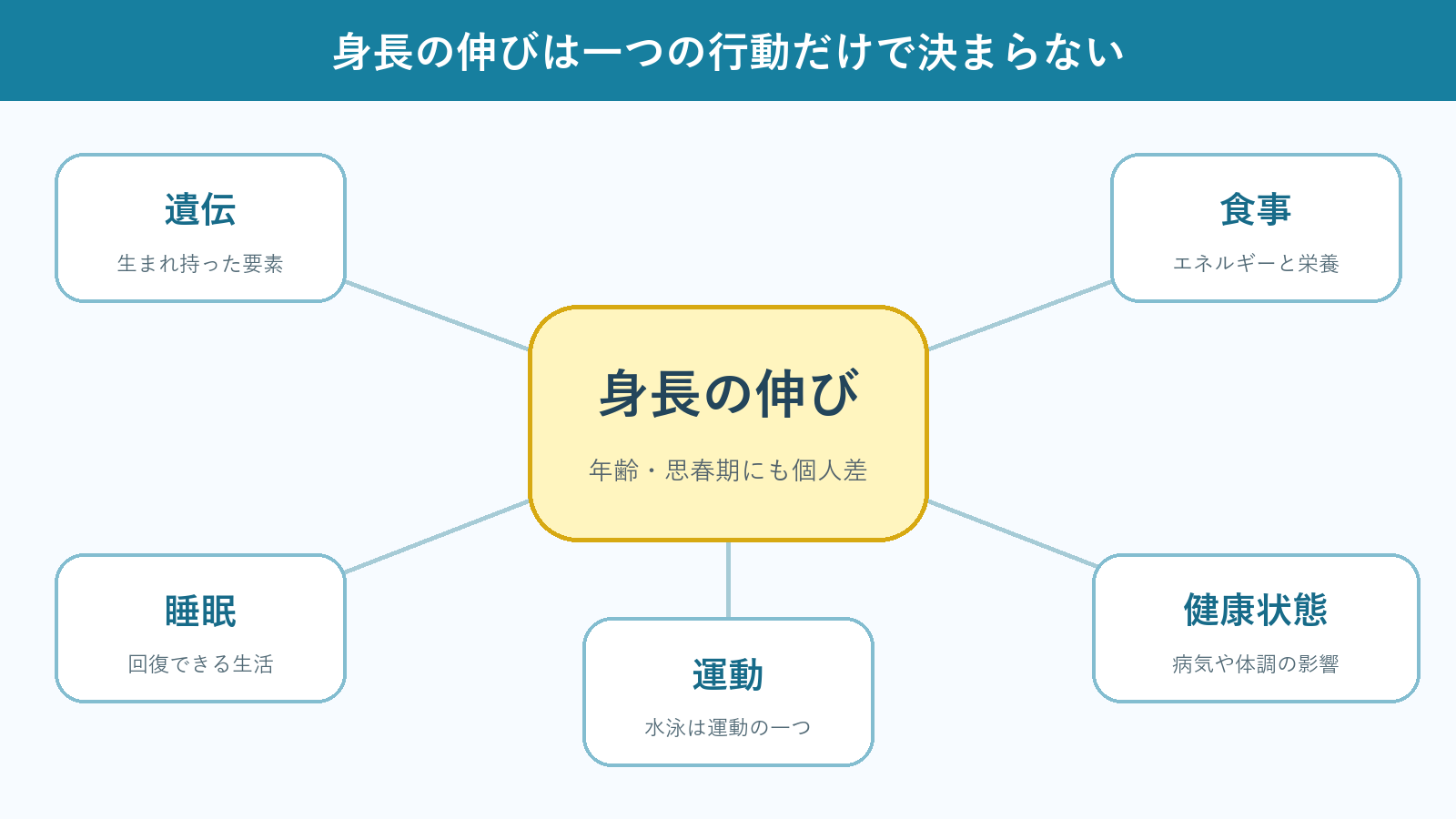 身長の伸びには遺伝、食事、睡眠、運動、健康状態など複数の要素が関わり、水泳は運動の一つであることを示す図